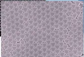 微结构SEM图详情