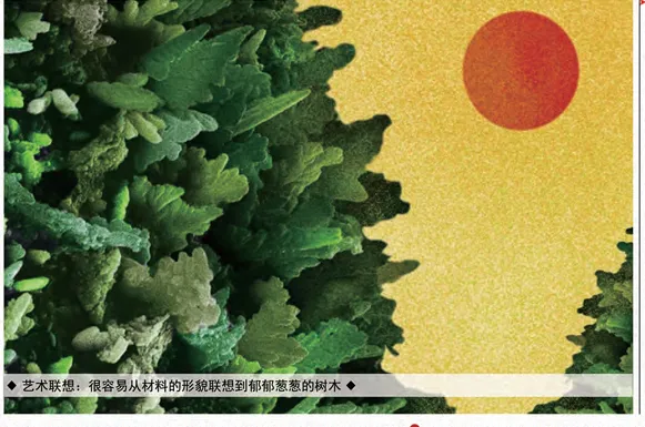2020年6月科学艺术作品